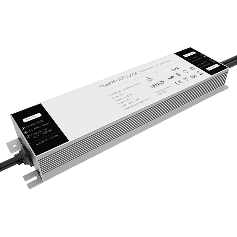 250W pastovios įtampos DALI LED tvarkyklė