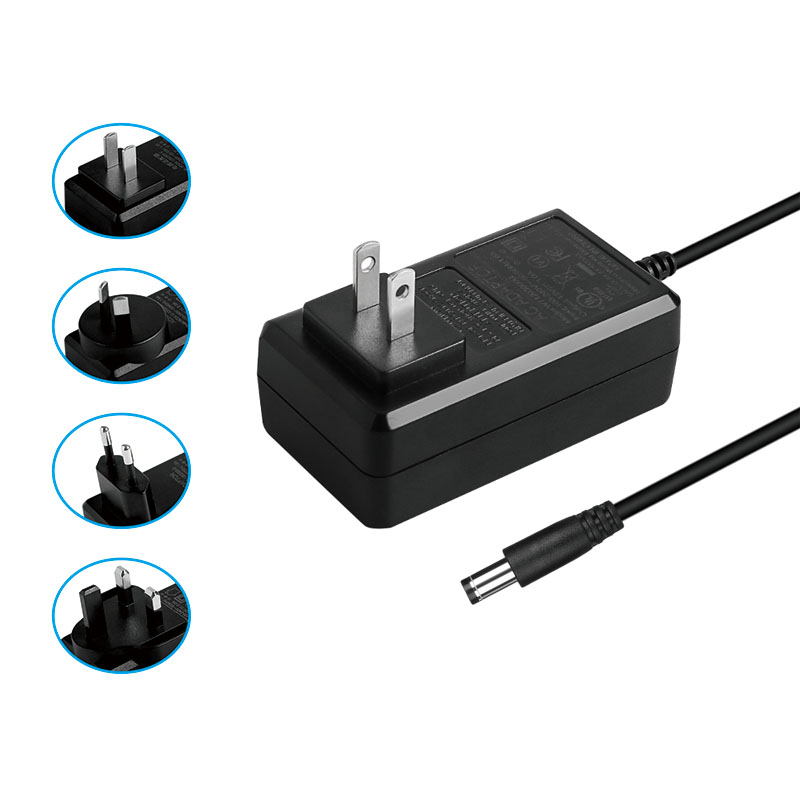 48W maitinimo adapteris